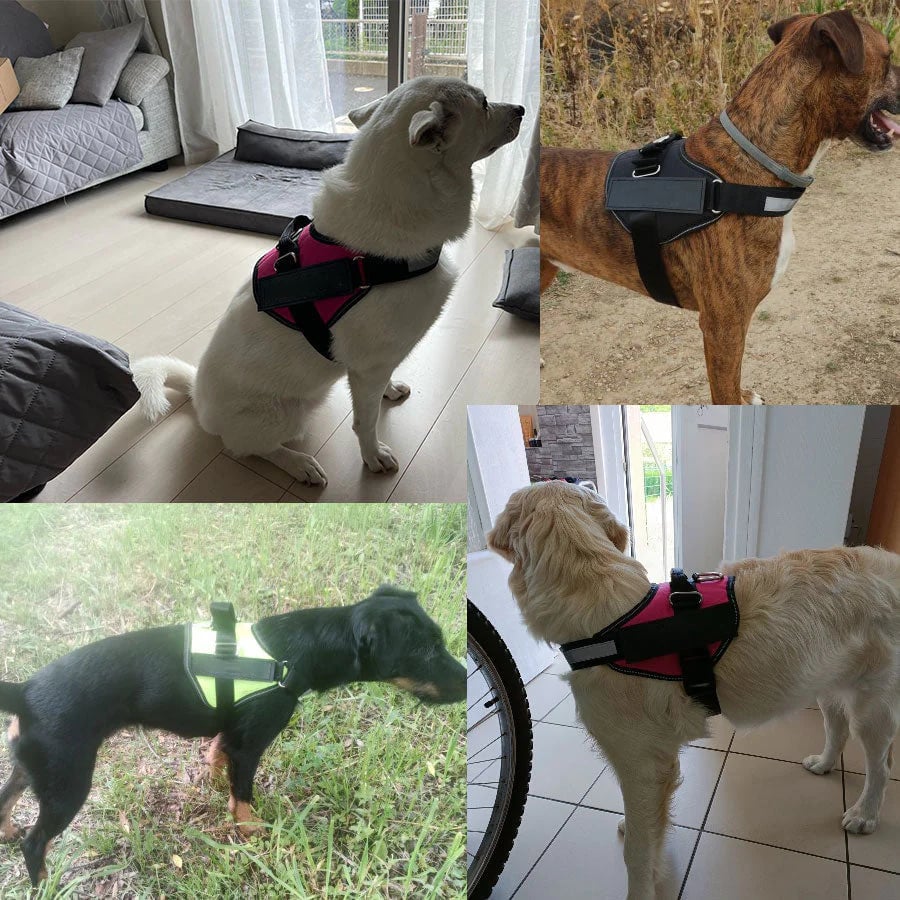 Choke Dog Harness