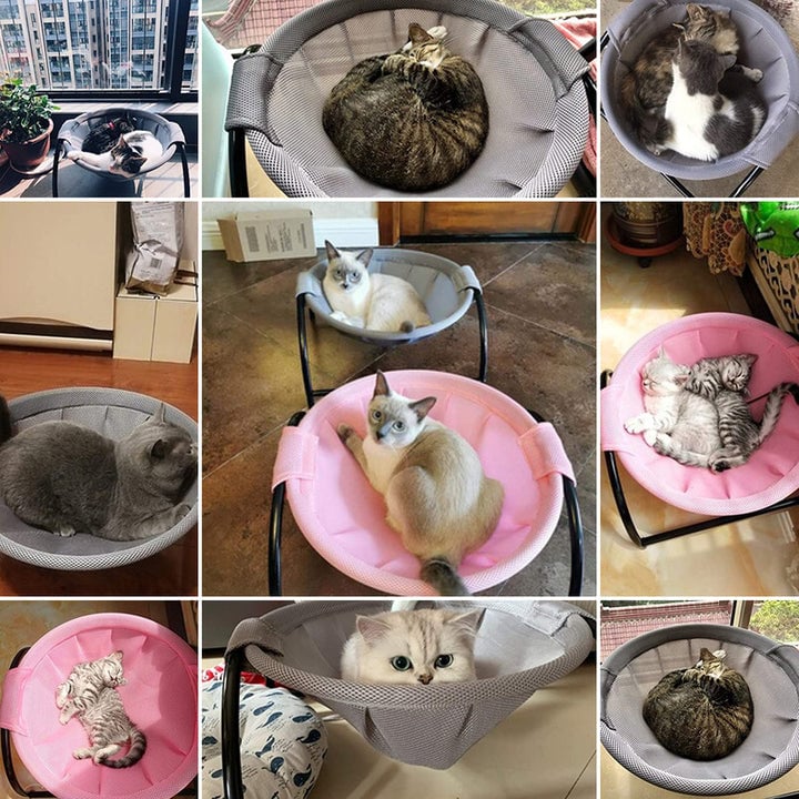 🔥🔥Floor Cat Hammock-With Stand