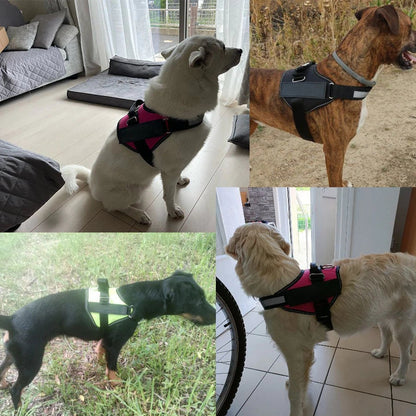 Choke Dog Harness